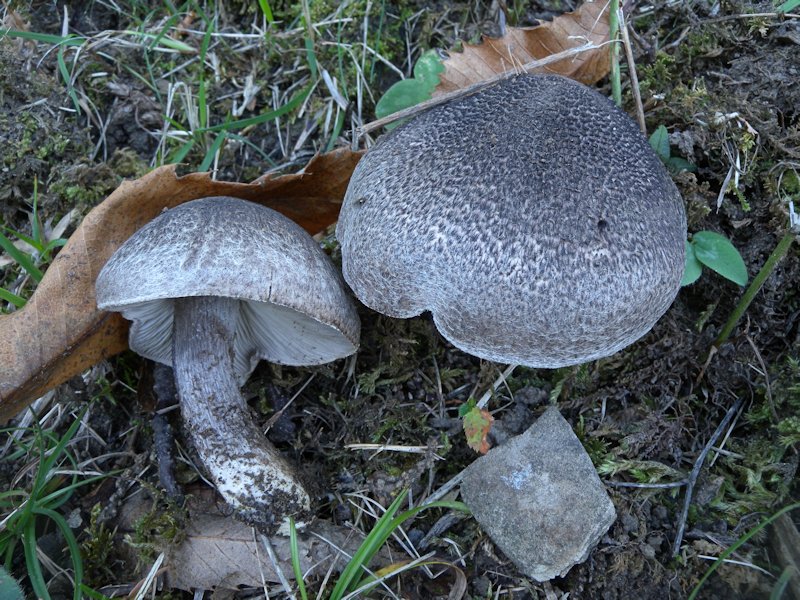 Forse l''ultima bellissima giornata..!!